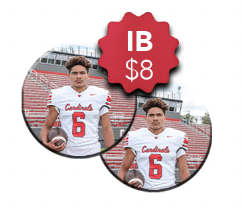 Sports: IB / BB - Buttons x 2
